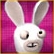 RAYMAN-HASE
