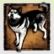 Man's best friend