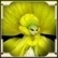 Glockenblumen-Sammler