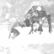 B�ser Hund