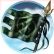 K�mpfer 