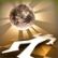(Geheime Troph�e) Disco ist tot