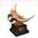 (Geheime Troph�e) Completed Picasso triggerfish (singer)