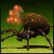 It�s Bomber