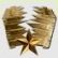 Zerst�rer