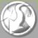 Abw�rtsslalom-Meister