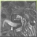Dossier: Blinder Behemoth
