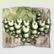 Als Frosch hat man's schwer