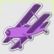Fliegerass