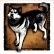(Geheime Troph�e) Man's Best Friend