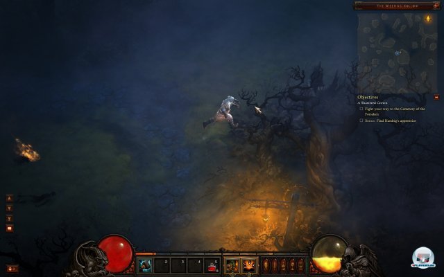 Bild
