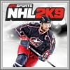 Erfolge zu NHL 2K9