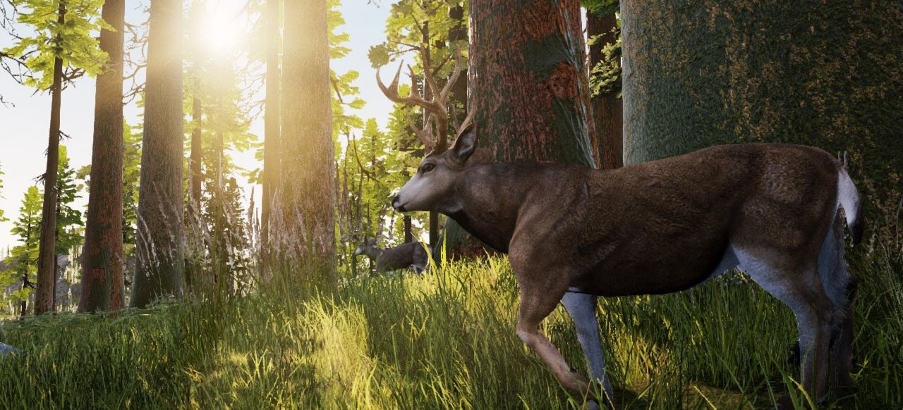 Hunting Simulator (Simulation) von Bigben Interactive Hunting Simulator (Simulation) von Bigben Interactive