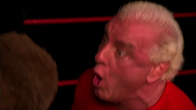Flair vs. Bear 2