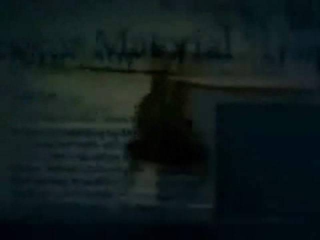 Trailer 4