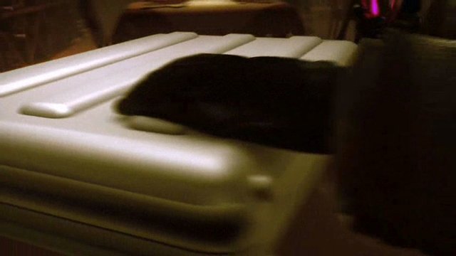 Trailer 1