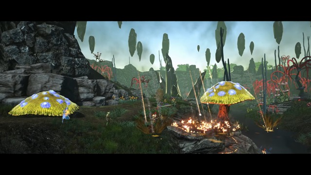 Co-op Video
