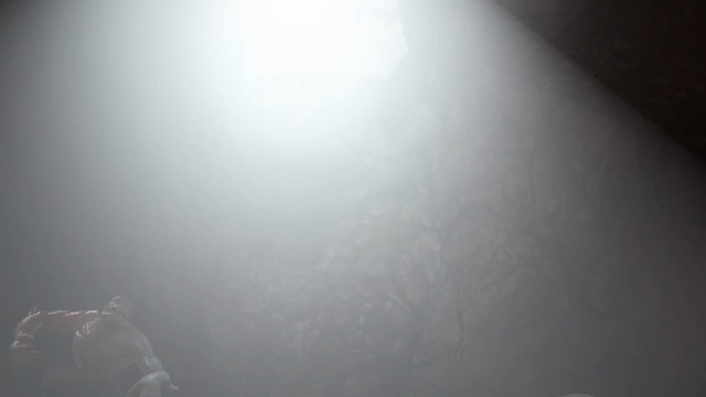 Meet the Rabbit