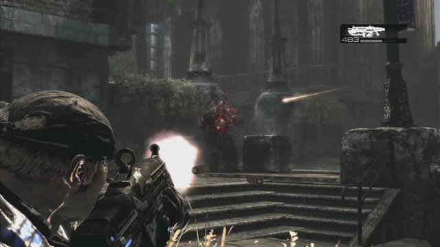 Top 5 Locust
