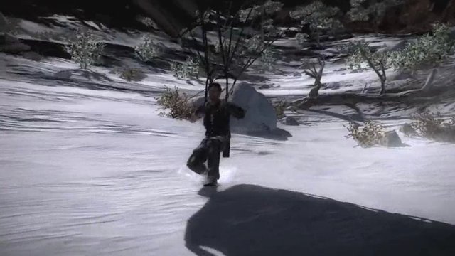 Multi-Path-Trailer