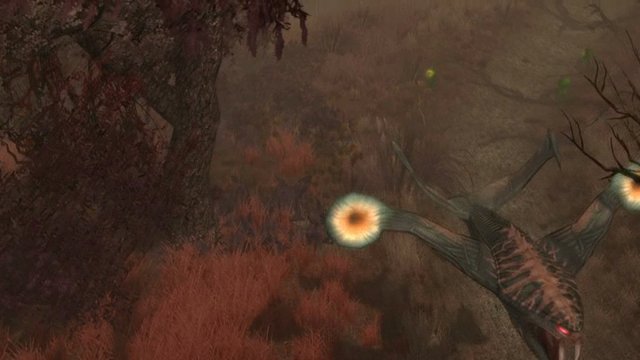 Cursed Forest-Trailer