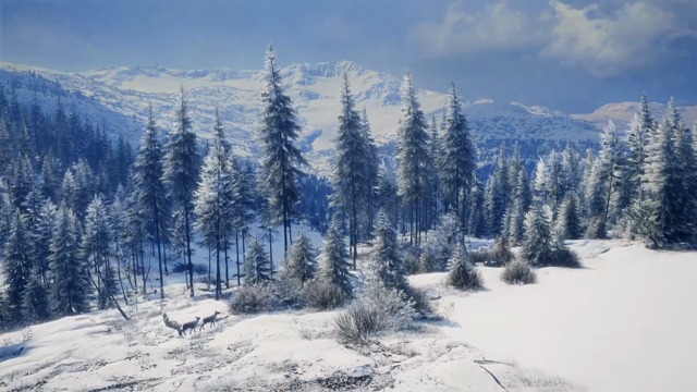 Medved-Taiga DLC