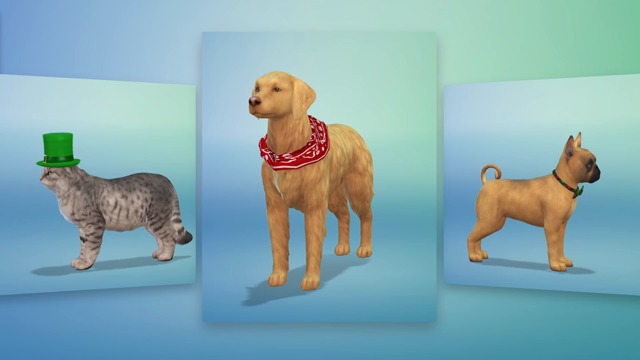 Create A Pet