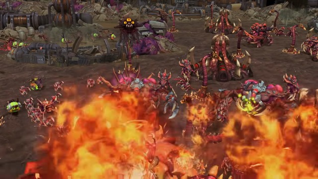 New Brawl, Bundles, Mounts, and More!