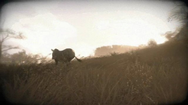 Teaser-Video