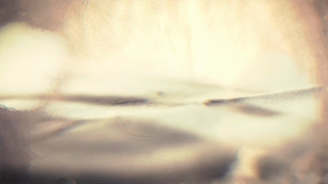Release-Termin