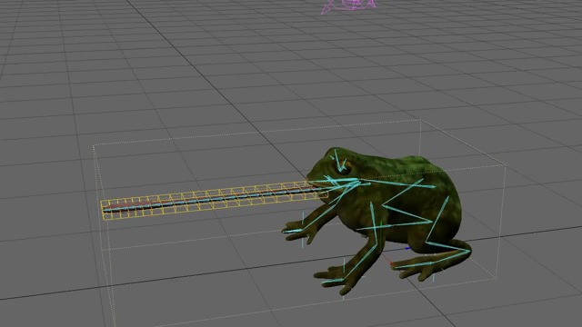 Hinter den Kulissen, The Frog