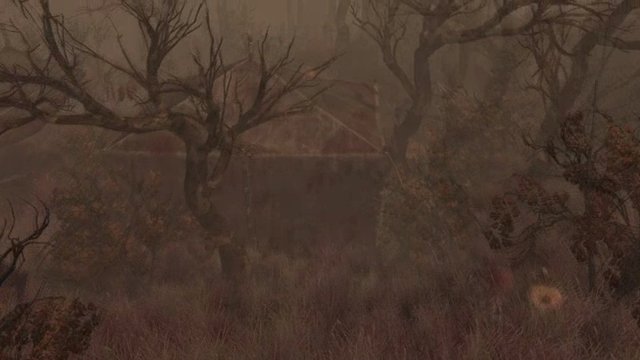 Debüt-Trailer