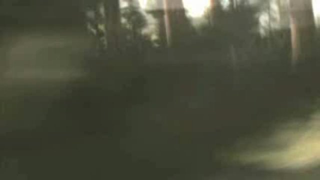 Trailer 1