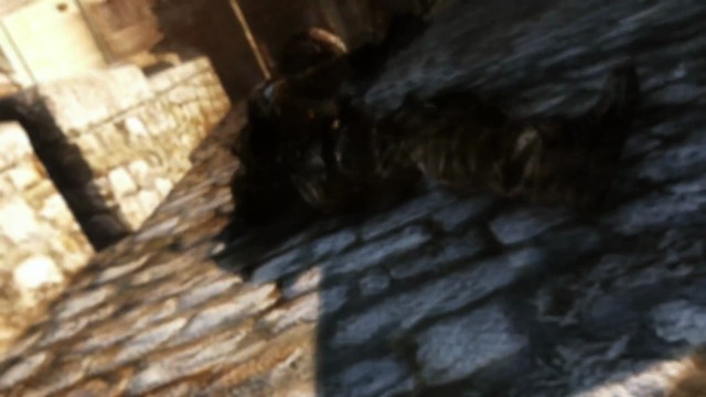 The Hunt Map Pack Launch-Trailer