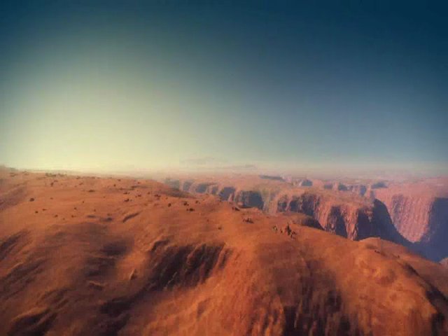 Racing-Trailer
