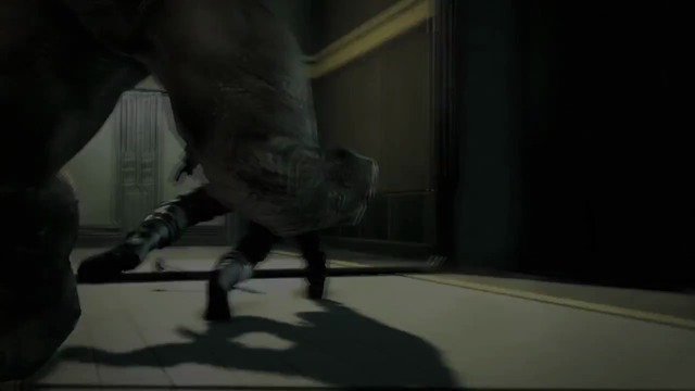Rhino-Trailer