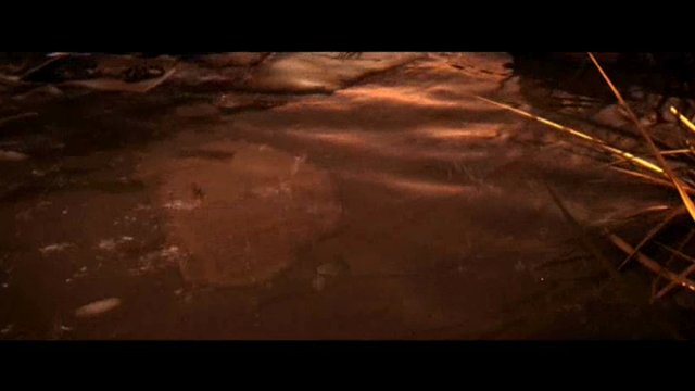 E3-Trailer 2008
